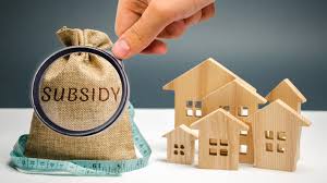 Government Subsidy Assistance
